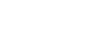 ACE Sécurité Logo Copyright